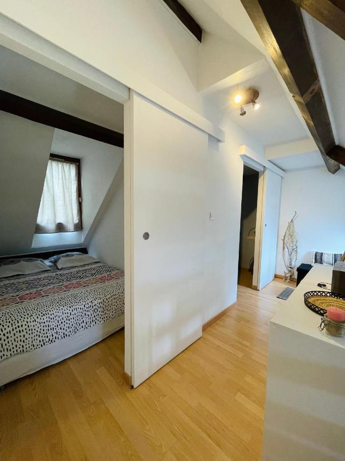 Duplex Du Pailhet, T3 Neuf, Vue Montagne, Parking, Navette Et 2 Velos A Disposition Gratuitement Bagnères-de-Luchon Екстериор снимка